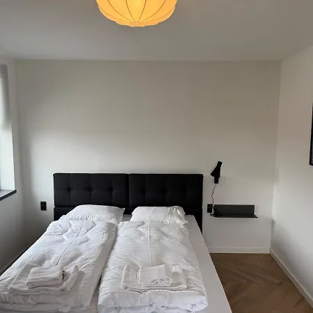 Fully Renovated In The Middle Of Center Daire